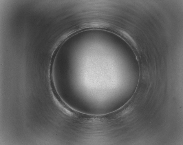 X0000072960938200607211153