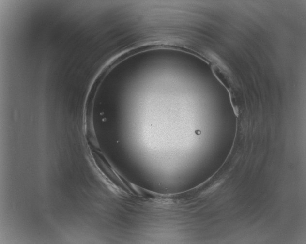 X0000072960940200607211153