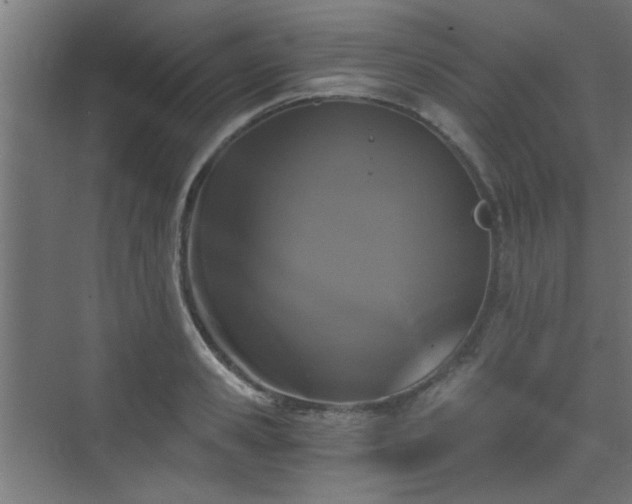 X0000072960941200607211153