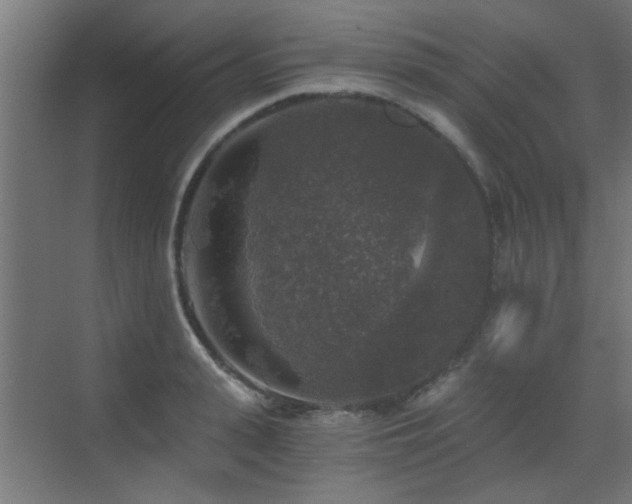 X0000072960943200607211153