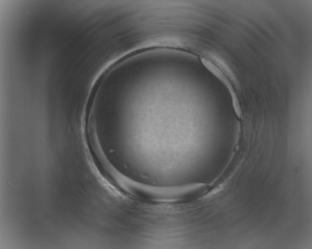 X0000072960944200607211153