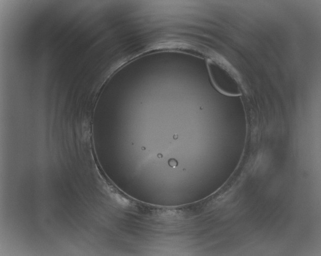 X0000072960945200607211154