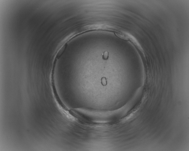 X0000072960946200607211154