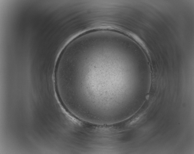 X0000072960951200607211154