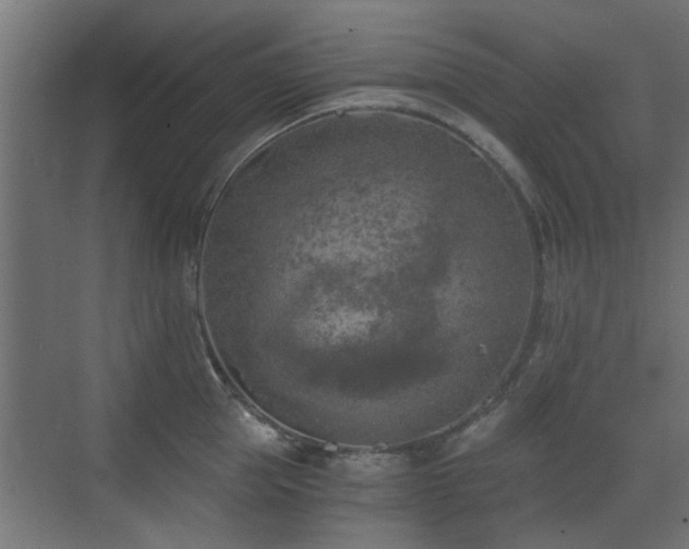 X0000072960953200607211154