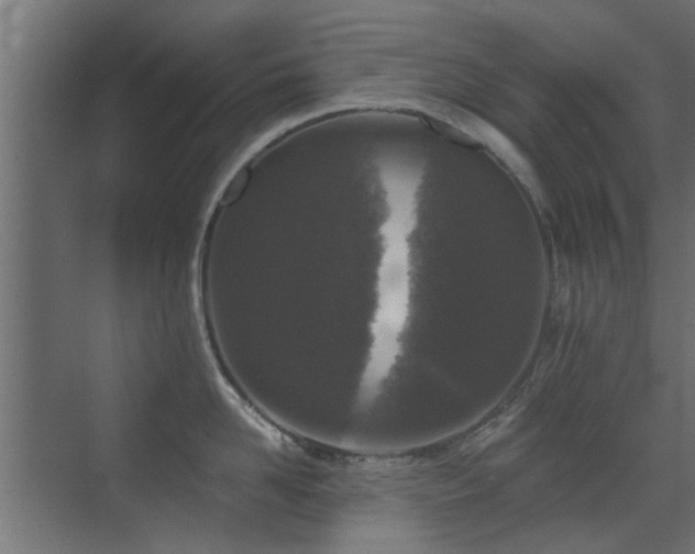 X0000072960958200607211154