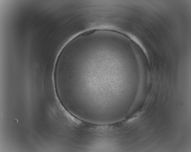 X0000072960959200607211154