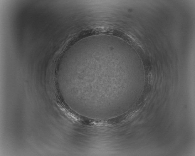 X0000072960961200607211153