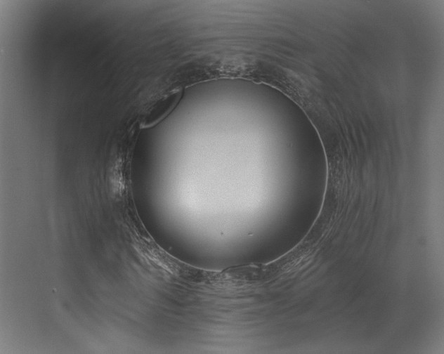 X0000072960962200607211153