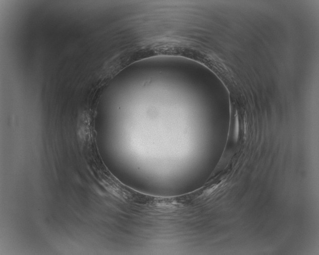 X0000072960964200607211153