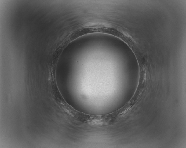 X0000072960965200607211153