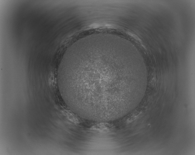 X0000072960966200607211153