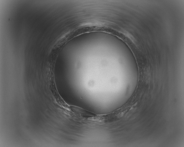 X0000072960967200607211153