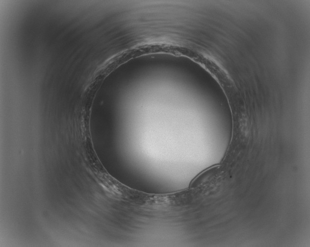 X0000072960968200607211153