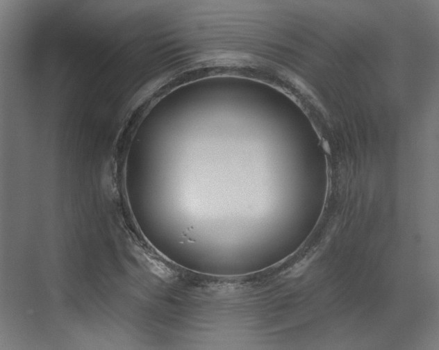 X0000072960970200607211153