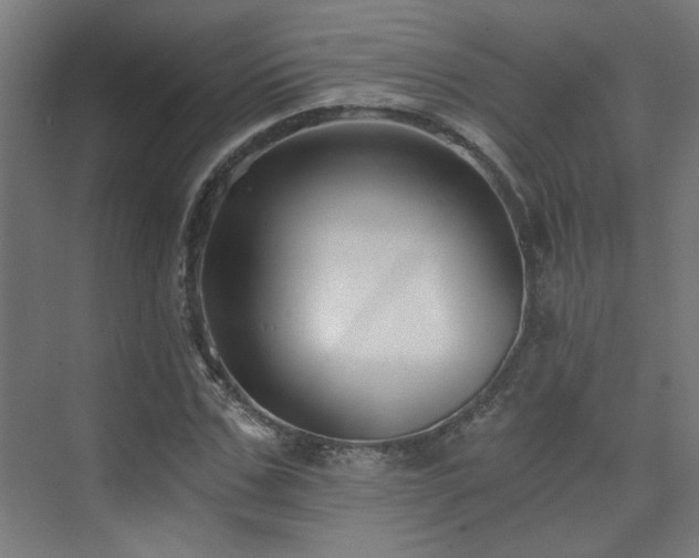 X0000072960971200607211153