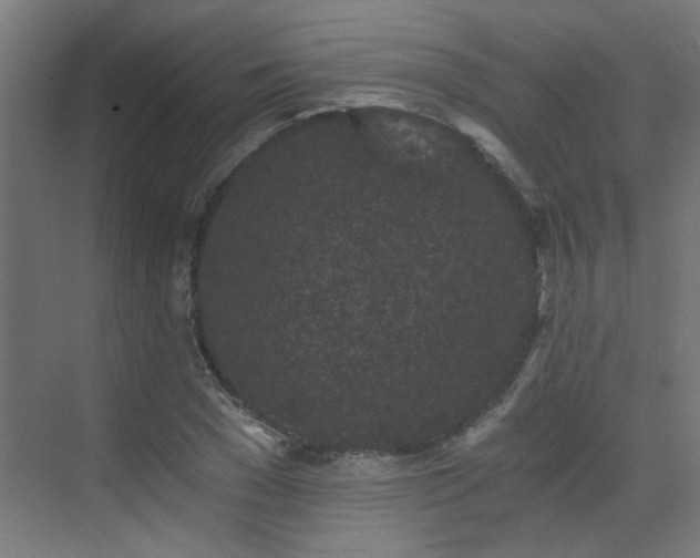 X0000072960977200607211153