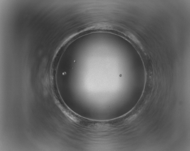 X0000072960981200607211153