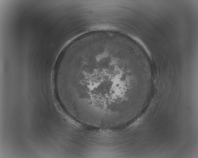 X0000072960983200607211153