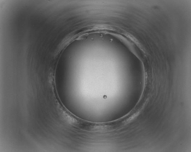 X0000072960985200607211153