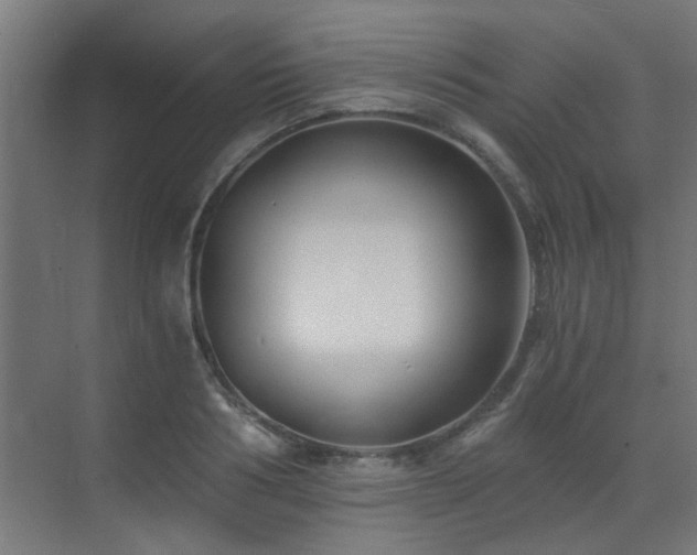 X0000072960986200607211153