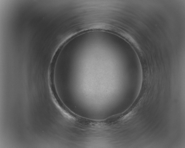 X0000072960991200607211152