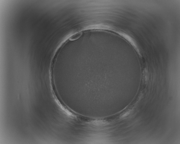 X0000072960998200607211152