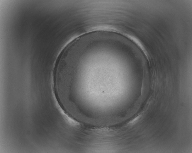 X0000072960999200607211152