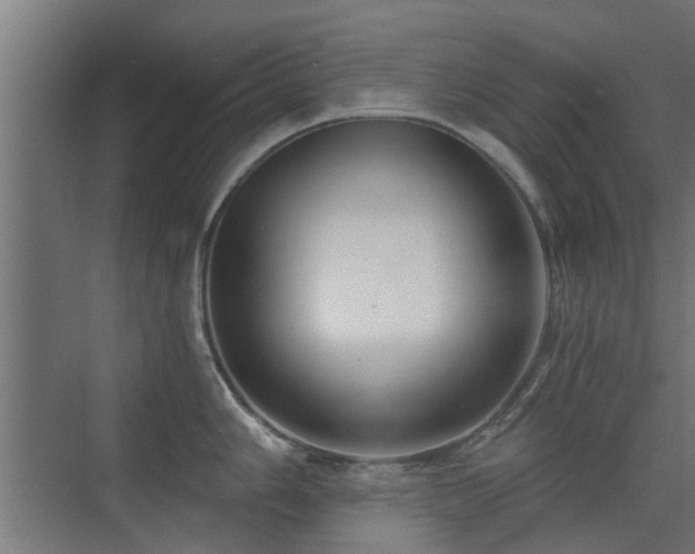 X0000072961006200607211152