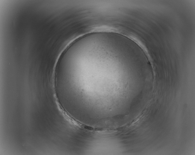 X0000072961008200607211152