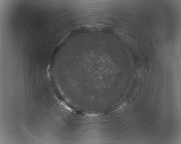 X0000072961010200607211151