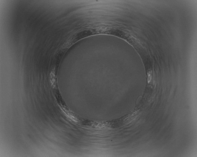 X0000072961011200607211151
