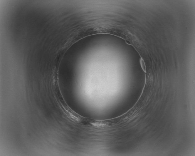 X0000072961012200607211151