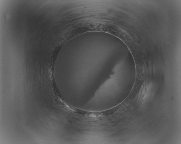 X0000072961013200607211151