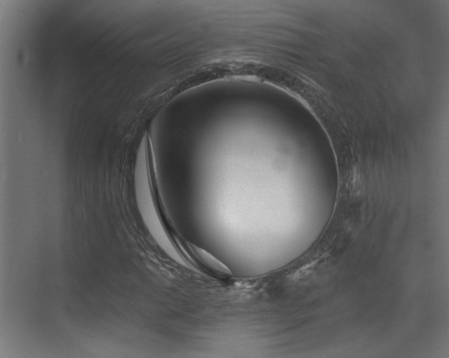 X0000072961014200607211151
