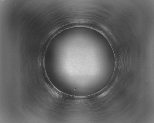 X0000072961017200607211151