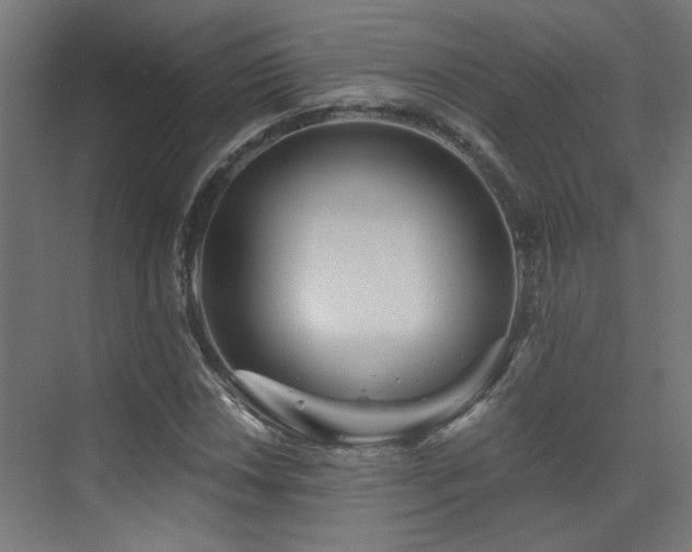 X0000072961018200607211151