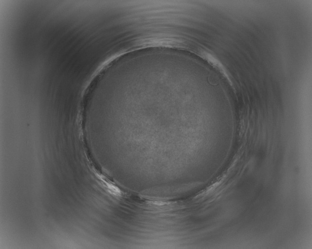 X0000072961019200607211152