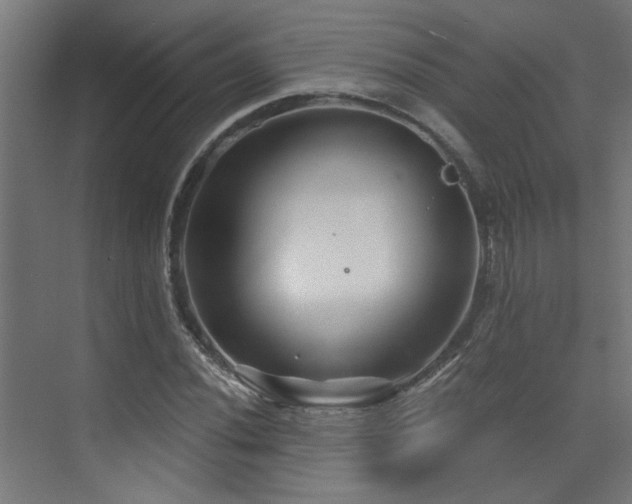 X0000072961020200607211152