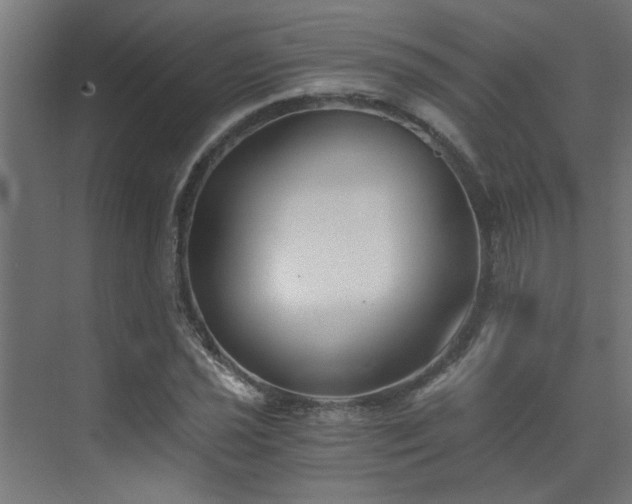 X0000072961021200607211152