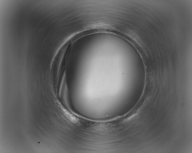 X0000072961022200607211152