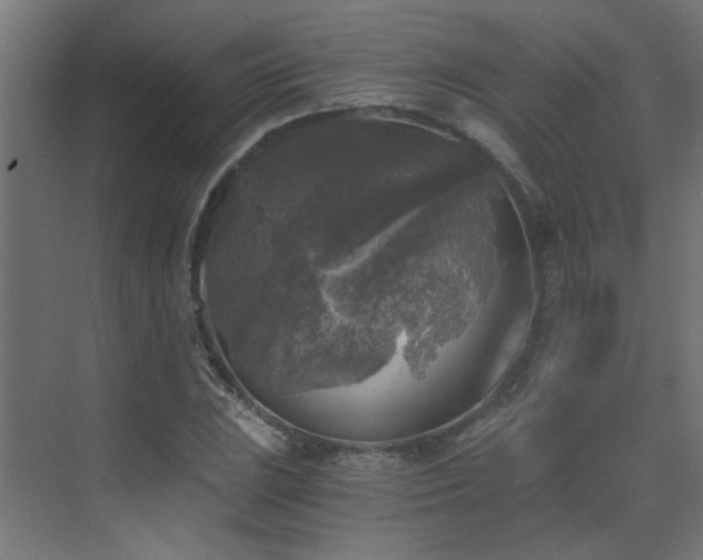 X0000072961023200607211152