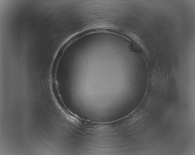 X0000072961024200607211152