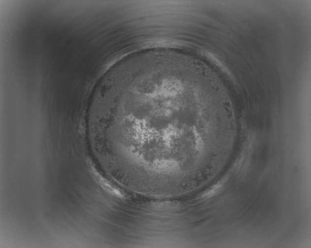 X0000072961025200607211152