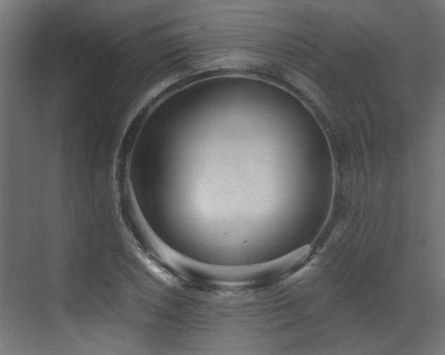 X0000072961026200607211152