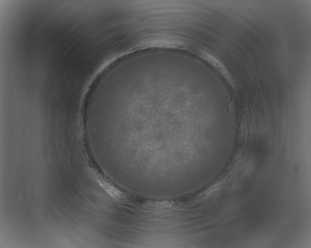 X0000072961027200607211152