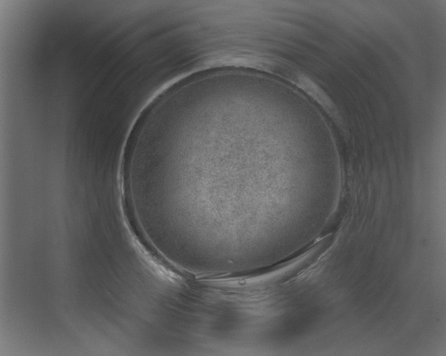 X0000072961028200607211152