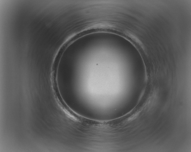 X0000072961029200607211152