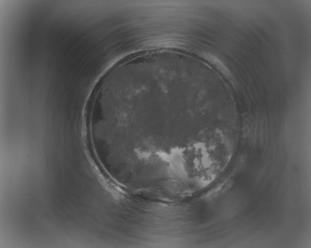 X0000072961031200607211152