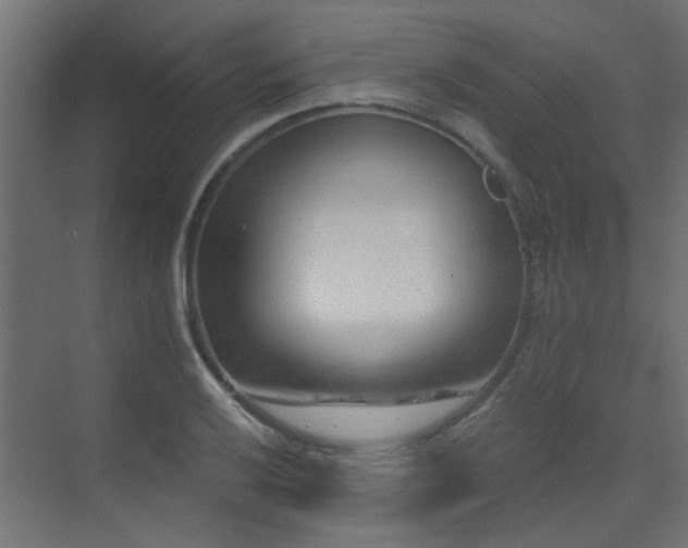 X0000072961032200607211152